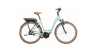 Riese u. Müller Swing Vario 26er/43cm/P-Line/Intuvia/500Wh/Salvia Matt